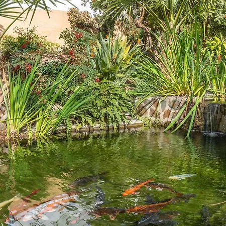 Palmas 2a Oasis Prázdninový dům Nerja