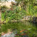 Palmas 2a Oasis Ferienhaus Nerja