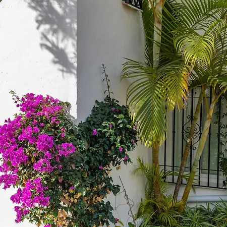 Palmas 2a Oasis 度假居