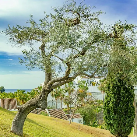 Palmas 2a Oasis 内尔哈