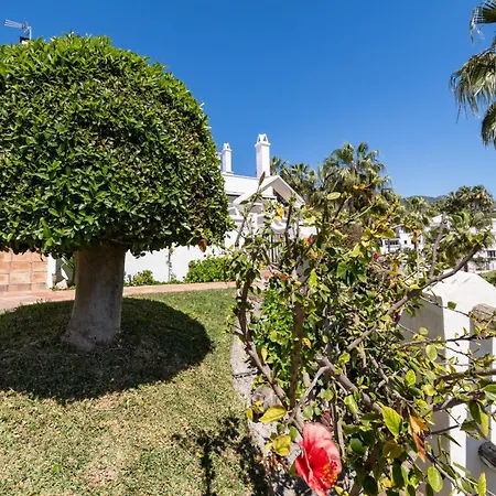 Palmas 2a Oasis * 内尔哈