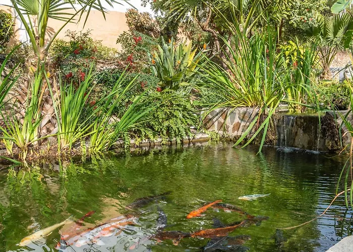 Palmas 2a Oasis 度假居 内尔哈