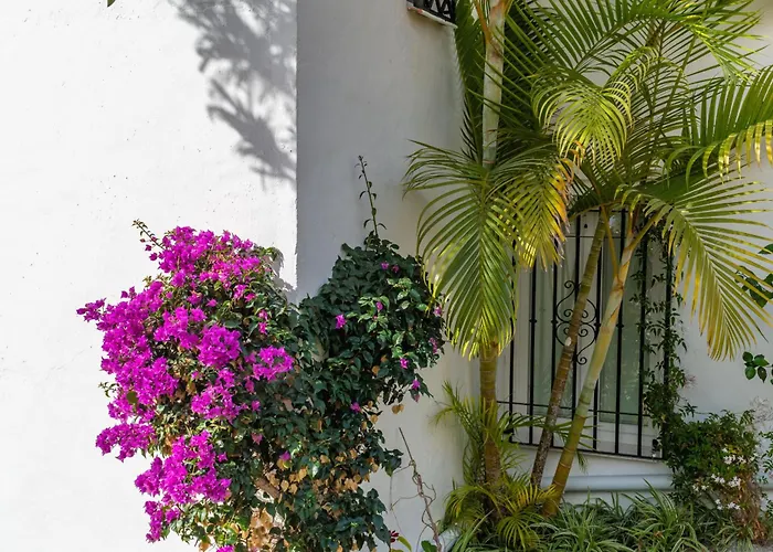 Palmas 2a Oasis Dom wakacyjny