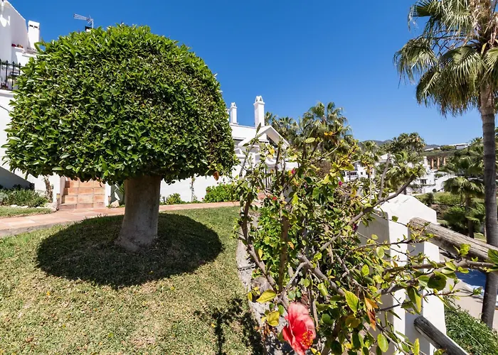 Palmas 2a Oasis * 内尔哈